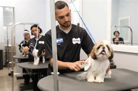 At PetSmart, our professional Pet Stylists will do anything for your pet. . Groomery at petsmart